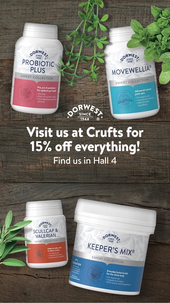 A high-conversion 9:16 vertical graphic featuring a curated collection of pet supplements with a clear, time-sensitive event offer.